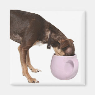 Aimant pause café