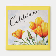 Pavot de Californie