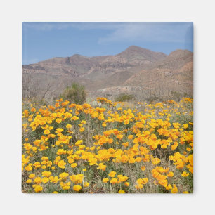 Aimant Pavots d'El Paso
