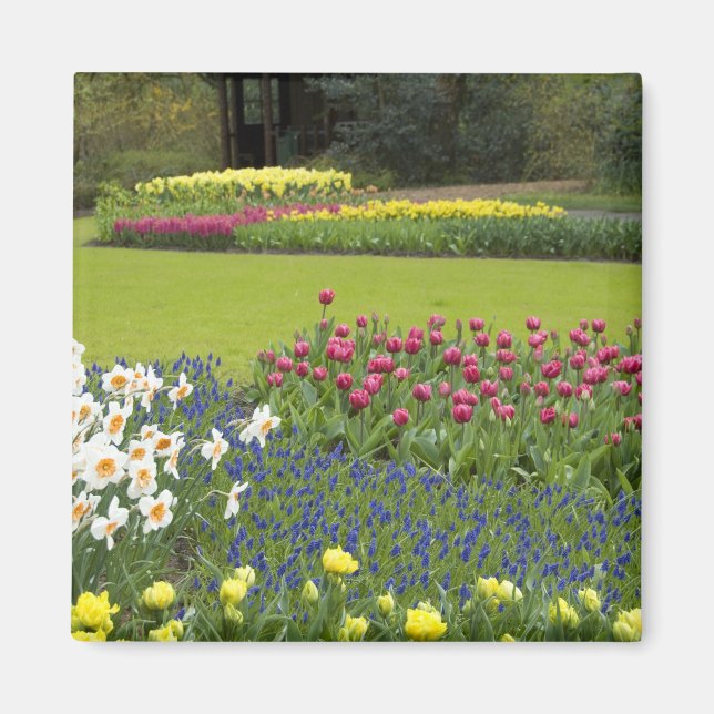 Aimant Pays-Bas alias Holland), Lisse. Keukenhof 5 (Devant)