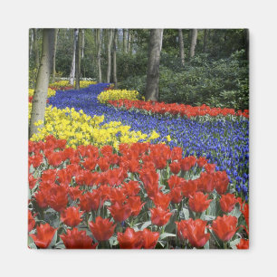 Aimant Pays-Bas, Hollande, Lisse, Keukenhof Gardens