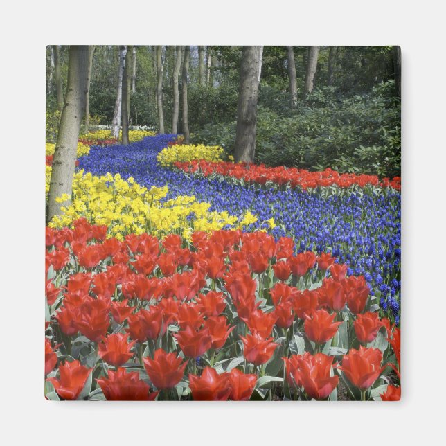 Aimant Pays-Bas, Hollande, Lisse, Keukenhof Gardens (Devant)