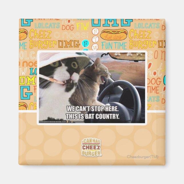 Aimant Pays chauve (Devant)