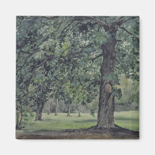 Aimant Paysage avec l'arbre de châtaigne dans le premier