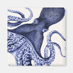 Aimant Paysage Bleu Octopus