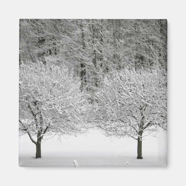 Aimant Paysage couvert de neige (Devant)