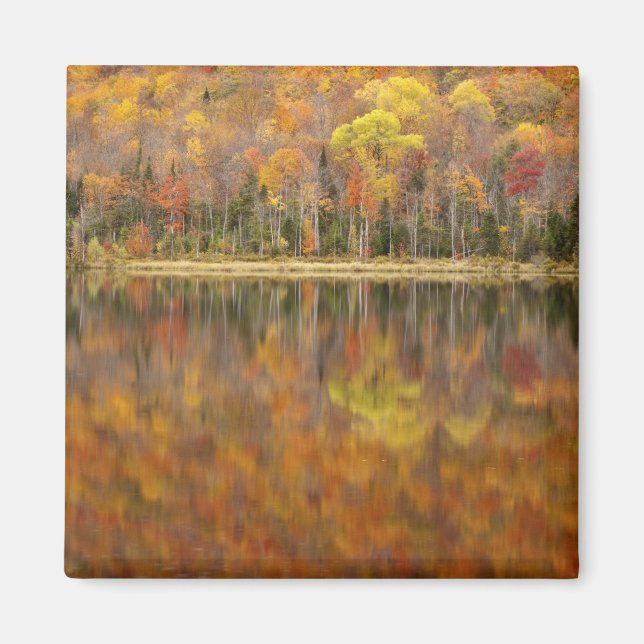 Aimant Paysage d'automne avec lac, Vermont, États-Unis (Devant)