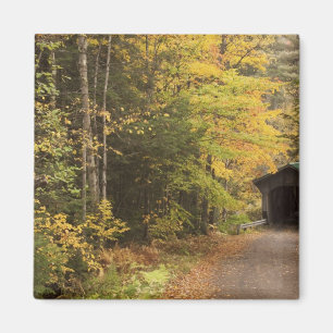 Aimant paysage d'automne, Vermont, États-Unis 4