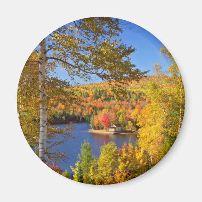 Aimant Paysage des arbres d'automne, Maine (Devant)