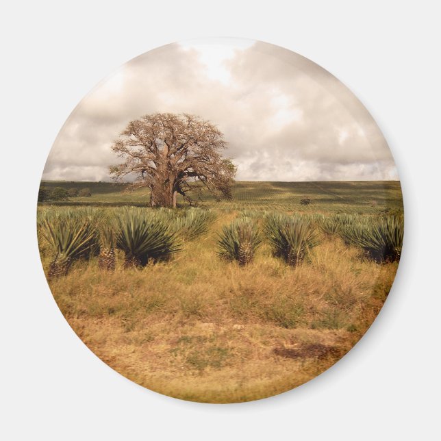 Aimant Paysage du Sénégal (Devant)