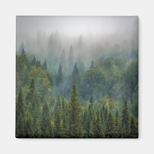 Aimant Paysage forestier de pins bruyants (Devant)