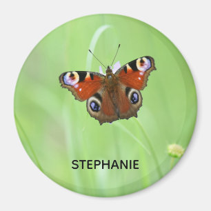 Aimant Peacock Butterfly