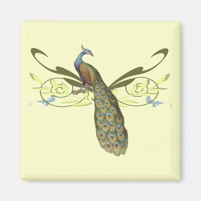 Aimant Peacock vintage (Devant)