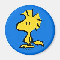 Peanuts | Snoopy's Friend Woodstock
