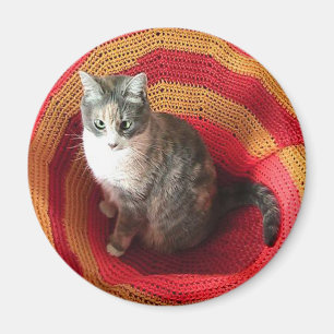 Aimant Pearl Cat sur l'Afghanistan