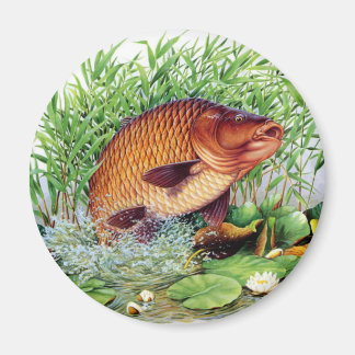 Aimant Pêche à la carpe