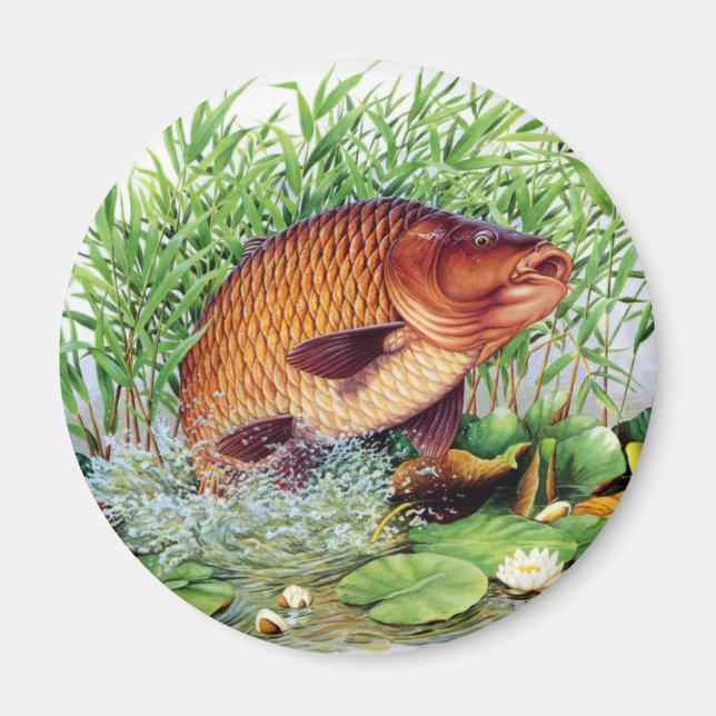 Aimant Pêche à la carpe (Devant)
