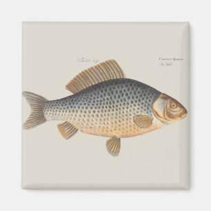 Aimant Pêche à la carpe peinture à l'eau douce