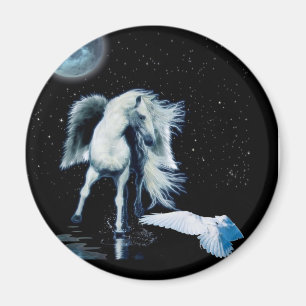 Aimant PEGASUS et collection BLANCHE de RAVEN