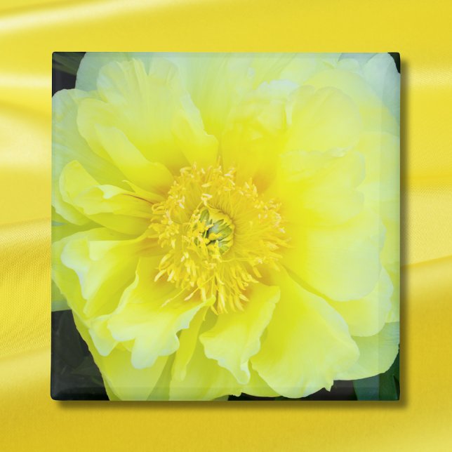 Aimant Peine jaune (Créateur téléchargé)
