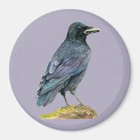 Peinture à l'aquarelle du corbeau