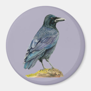 Aimant Peinture à l'aquarelle du corbeau