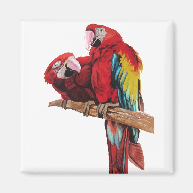 Aimant Peinture couleur rouge Macaw Aquarelle (Devant)