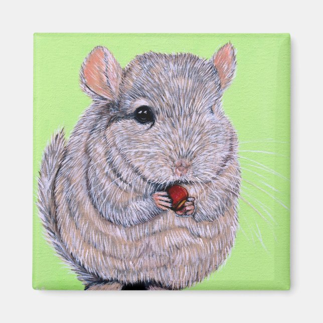 Aimant Peinture de Chinchilla à la poitrine molle (Devant)