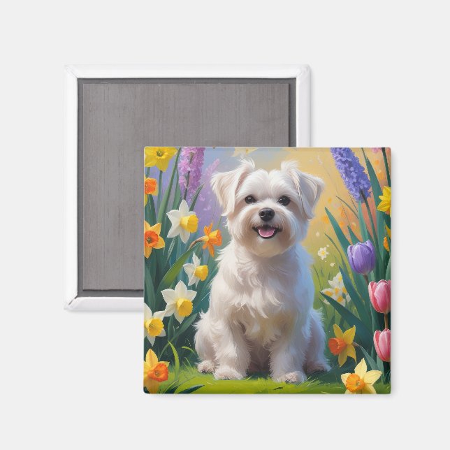 Aimant Peinture de printemps de chien maltais (Recto/Verso)