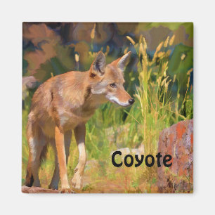 Aimant Peinture d'été sur la faune de Coyote