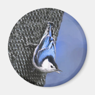Aimant Peinture Nuthatch à poitrine blanche Art original