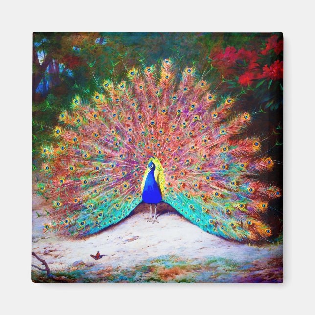 Aimant Peinture Peacock vintage (Devant)