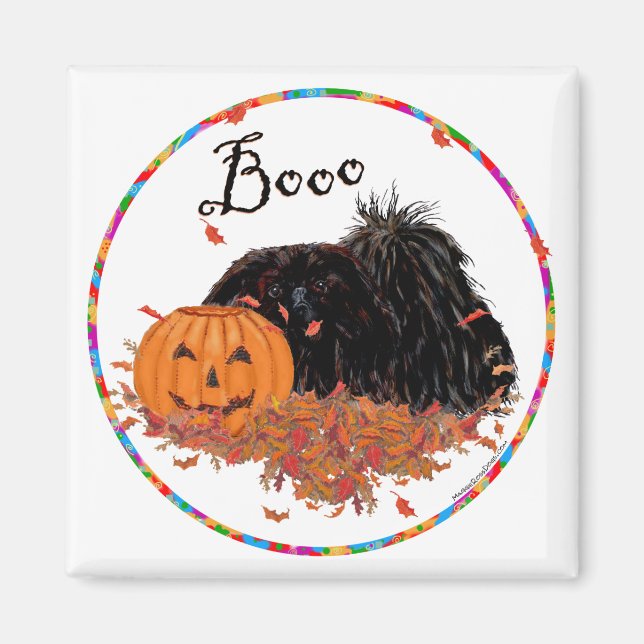 Aimant Pékinois (Devant)