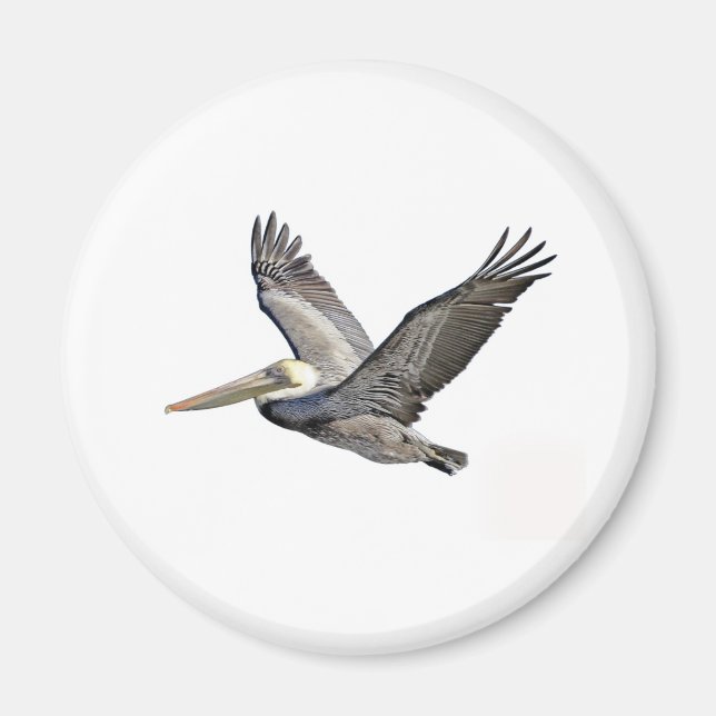 Aimant Pélican clair (Devant)