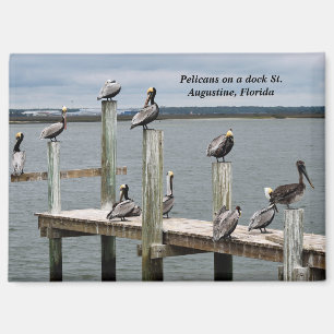Aimant Pélican posé sur une jetée