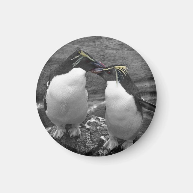 Aimant Penguin Colour Splash (Devant)