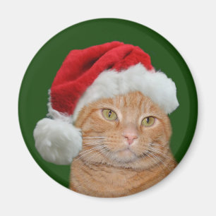 Aimant Père Noël Paws