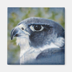 Aimant Peregrine-aérographe