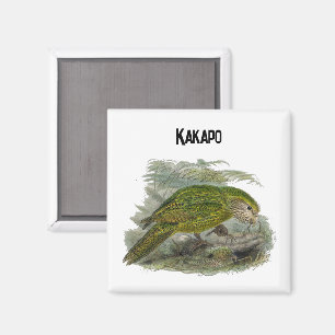 Aimant Perroquet de Chouette verte Kakapo, Illustration d