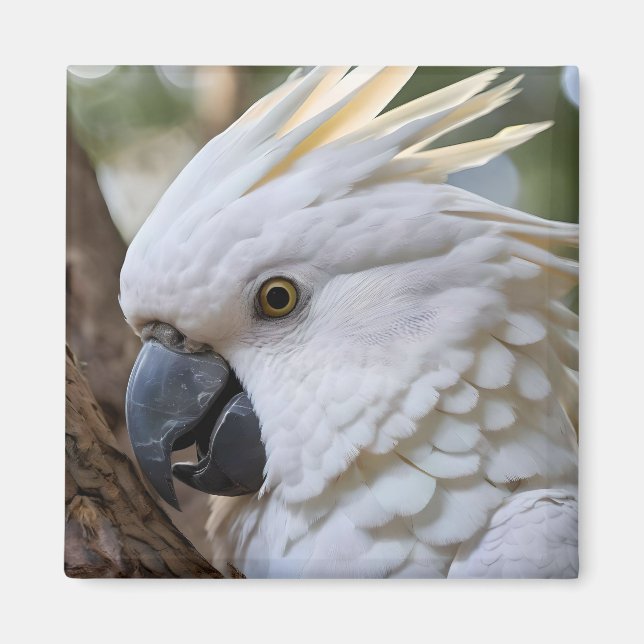 Aimant Perroquet de Cockatoo australien blanc, (Devant)