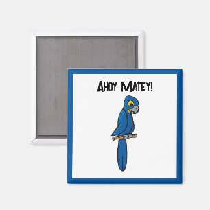 Aimant Perroquet Pirate Ahoy Matelot Dessin Animé, Oiseau