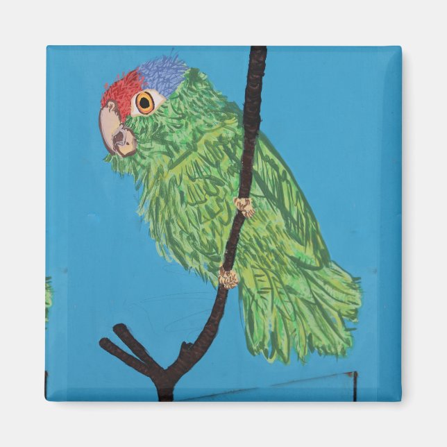 aimant perroquet vert (Devant)