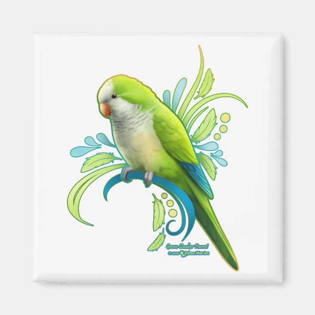 Aimant Perroquet vert Quaker (Devant)