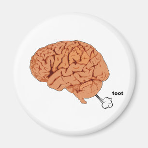 Aimant Pet de cerveau