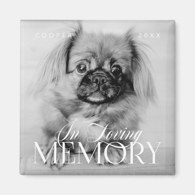 Aimant Pet Memorial Love Memory Simple Photo moderne (Devant)