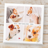 Pet Memorial Meilleur Chien Jamais Photo Collage m