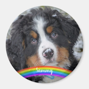 Aimant Pet Photo - Dog - Cat - Pet Memorial