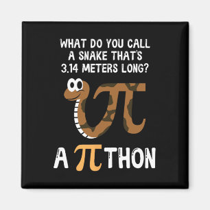 Aimant Pet Snake Math Pi Day Python