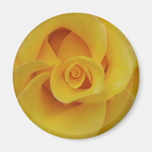 Aimant Pétales de rose jaune romantiques