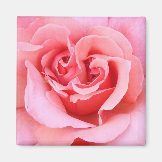 Aimant Pétales roses (Devant)